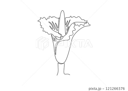 Single one line drawing beauty fresh amorphophallus titanum for home wall decor art poster. Decorative titan arum flower for national park icon. Continuous line draw design graphic vector illustration 121266376