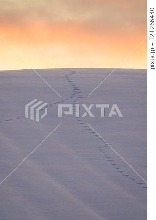 冬の北海道美瑛町の雪原と夕焼けの風景 冬の北海道美瑛町の雪原と夕焼けの風景 121266430