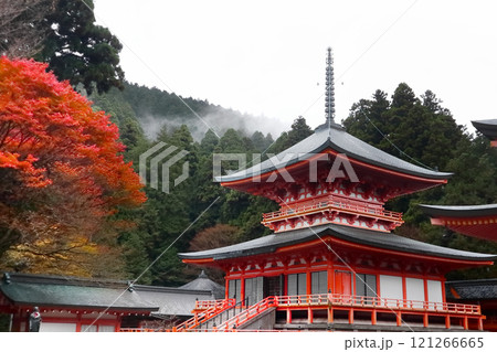 深き歴史の滋賀県(比叡山延暦寺、法華総特院東塔。晩秋の霧雨のなか紅葉と共に赤く輝いていた。) 深き歴史の滋賀県(比叡山延暦寺、法華総特院東塔。晩秋の霧雨のなか紅葉と共に赤く輝いていた。) 121266665