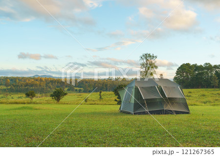 Tourist dome tent camping at forest camping site 121267365