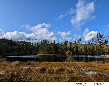 a lake in norwegian autumn forest 121269040