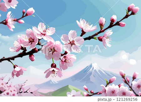 Blooming Cherry Blossoms Against Clear Blue Sky Blooming Cherry Blossoms Against Clear Blue Sky 121269256