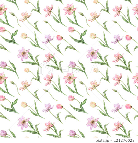 Seamless pattern of pastel pink light violet yellow bud Tulips watercolor illustration isolated on background. Hand drawn delicate spring perennial bulbous flower for spring wedding repeat design Seamless pattern of pastel pink light violet yellow bud Tulips watercolor illustration isolated on background. Hand drawn delicate spring perennial bulbous flower for spring wedding repeat design 121270028