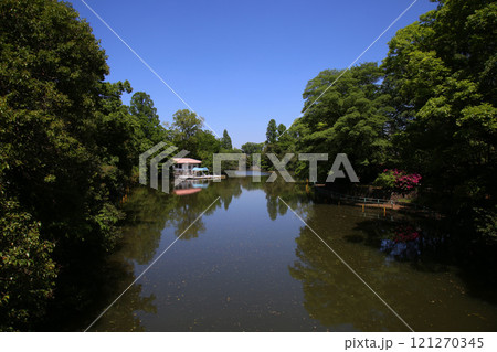 武蔵関公園 武蔵関公園 121270345