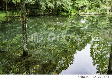 富士山本宮浅間大社　 御霊水　静岡県富士宮市 121270421