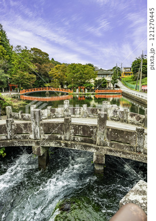富士山本宮浅間大社　 湧玉池　神幸橋　静岡県富士宮市 121270445