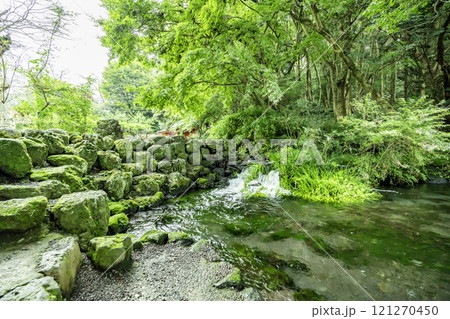 富士山本宮浅間大社　 湧玉池　禊所　静岡県富士宮市 121270450