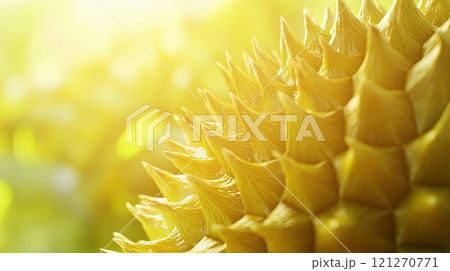 Durian, Asian dessert delicacy, tasty yet smelly tropical treat, healthy and exotic green yellow Durian, Asian dessert delicacy, tasty yet smelly tropical treat, healthy and exotic green yellow 121270771