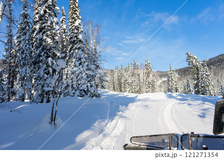 Winter road. Red snowcat rides in a snowy spruce forest, view from the cab Winter road. Red snowcat rides in a snowy spruce forest, view from the cab 121271354