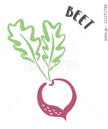 Beet hand painted with ink brush isolated on white background 121271788