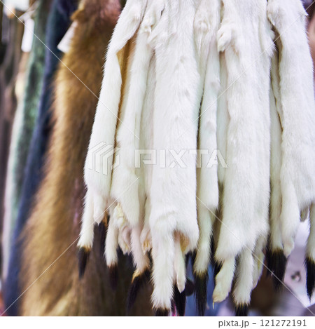 Pelts of ermine 121272191