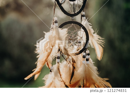 Dreamcatcher, american native spiritual bohemian mascot Dreamcatcher, american native spiritual bohemian mascot 121274831