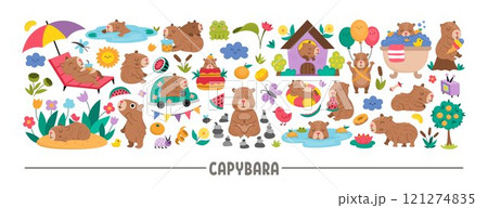 Vector capybara horizontal set with relaxed animals, frog, tangerines, fruit, flowers, butterfly. Capibara card template or frame design for banners, invitations. Cute illustration with guinea pigs 121274835