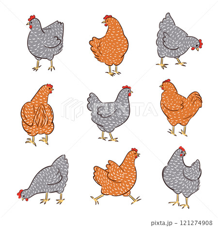Set of hand drawn speckled hens. Chicken food vector illustration 121274908