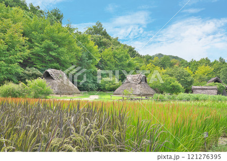 【科野の里歴史公園】 長野県千曲市屋代 121276395
