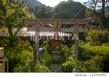 極楽寺 極楽寺 121276945