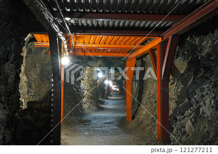 【松代象山地下壕】 長野県長野市松代町西条 121277211