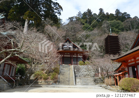 「権殿(中央)」「十三重塔(右)」「神廟拝所(右下)」(談山神社/奈良県桜井市多武峰) 「権殿(中央)」「十三重塔(右)」「神廟拝所(右下)」(談山神社/奈良県桜井市多武峰) 121277467