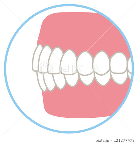 キレイな歯並び　歯科　歯列矯正 121277478