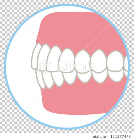 キレイな歯並び　歯科　歯列矯正 121277478