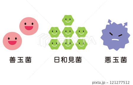 腸内細菌のバランス　腸内フローラ 121277512