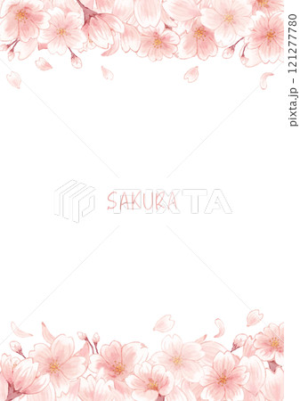 美しい桜の花のフレームイラスト 121277780