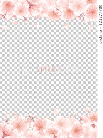 美しい桜の花のフレームイラスト 121277780