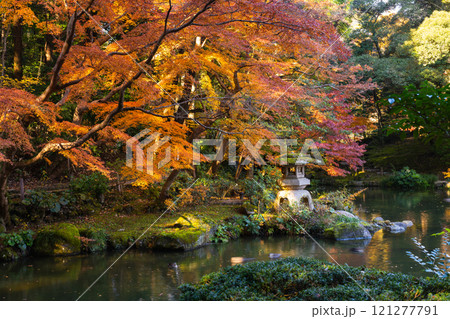 季節を感じる色鮮やかな紅葉　成田山公園 121277791