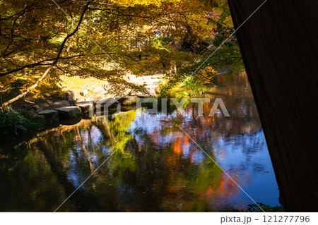 季節を感じる色鮮やかな紅葉　成田山公園 121277796