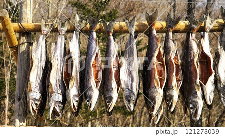 ポロト湖畔に誕生した素晴らしいウポポイ 121278039