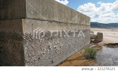 能登半島地震の被害状況(石川県輪島市鹿磯海岸付近で発生した隆起による港の様子) 能登半島地震の被害状況(石川県輪島市鹿磯海岸付近で発生した隆起による港の様子) 121278121