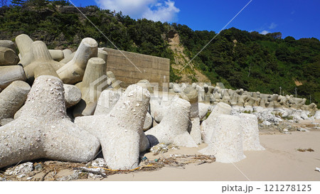 能登半島地震の被害状況(石川県輪島市鹿磯海岸付近で発生した隆起による海岸) 能登半島地震の被害状況(石川県輪島市鹿磯海岸付近で発生した隆起による海岸) 121278125