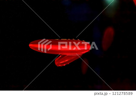 クラゲを食べるシンカイウリクラゲは虹色に光る 121278589