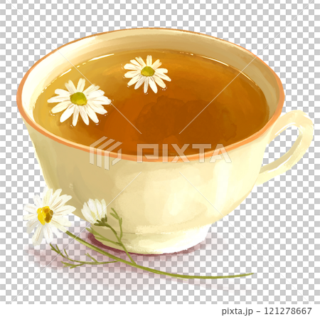 甘菊茶手繪插畫 甘菊茶手繪插畫 121278667