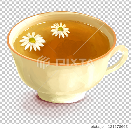 カモミールティーの手描きイラストのイラスト素材 [121278668] - PIXTA