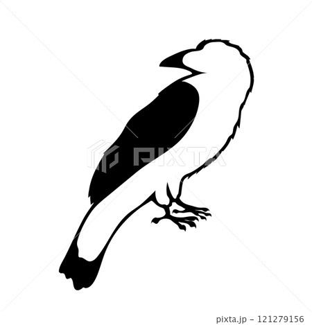 Bird Raven Crow Black Silhouette for Icon. Bird Raven Crow Black Silhouette for Icon. 121279156