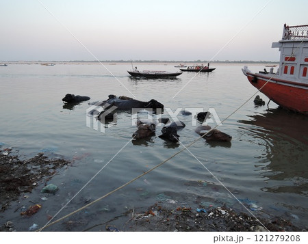 Varanasi is a city on the Ganges river in northern India that has a central place in pilgrimage, death, and mourning in the Hindu world. 121279208