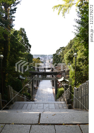 宮地嶽神社・光の道 121279272