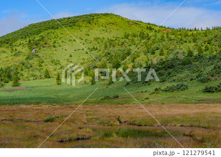 酸ヶ平周辺の池塘 121279541