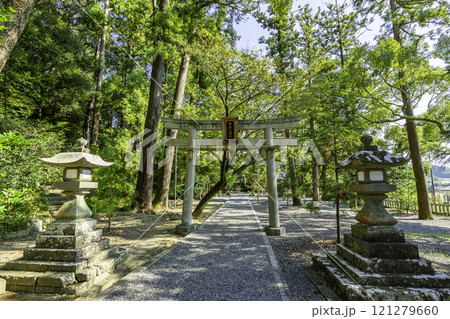 事任八幡宮 鳥居 静岡県掛川市 事任八幡宮 鳥居 静岡県掛川市 121279660