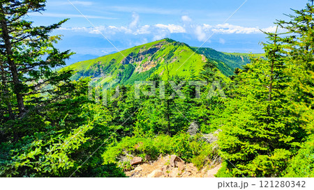 夏の四阿山・根子岳登山（四阿山～根子岳） 121280342