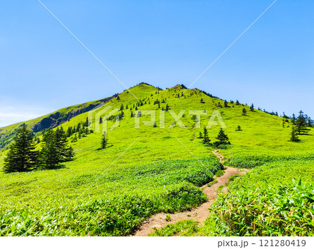 夏の四阿山・根子岳登山(四阿山~根子岳) 夏の四阿山・根子岳登山(四阿山~根子岳) 121280419
