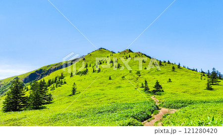 夏の四阿山・根子岳登山(四阿山~根子岳) 夏の四阿山・根子岳登山(四阿山~根子岳) 121280420