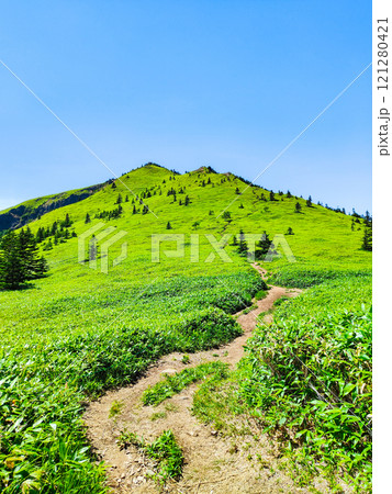 夏の四阿山・根子岳登山（四阿山～根子岳） 121280421