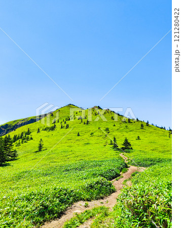 夏の四阿山・根子岳登山（四阿山～根子岳） 121280422