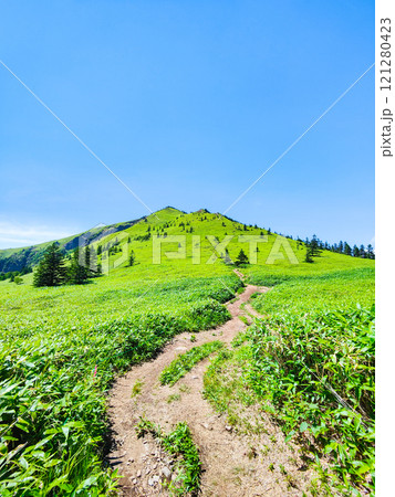 夏の四阿山・根子岳登山(四阿山~根子岳) 夏の四阿山・根子岳登山(四阿山~根子岳) 121280423