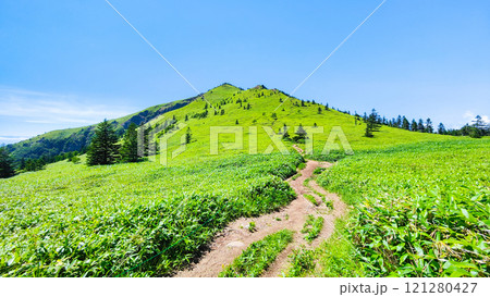 夏の四阿山・根子岳登山（四阿山～根子岳） 121280427