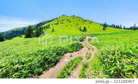 夏の四阿山・根子岳登山（四阿山～根子岳） 121280467