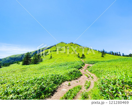 夏の四阿山・根子岳登山(四阿山~根子岳) 夏の四阿山・根子岳登山(四阿山~根子岳) 121280469