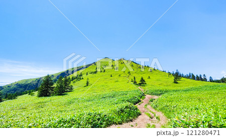 夏の四阿山・根子岳登山(四阿山~根子岳) 夏の四阿山・根子岳登山(四阿山~根子岳) 121280471